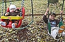 Having fun on the swings