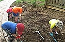 The kids are preparing the garden by pulling the grass out