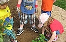 Alaina is planting strawberries
