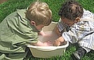 Ethan and Corin seemed to enjoy washing their hands even more than painting