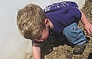 Ethan is digging a hole for a cucumber plant