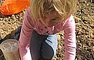 Savannah is patting the dirt around a newly planted tomato plant