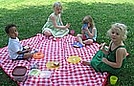 Picnic in the park