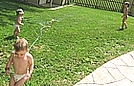 Cooling off in the sprinkler